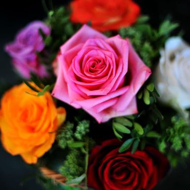 A vibrant bouquet featuring pink, orange, and red roses with greenery.