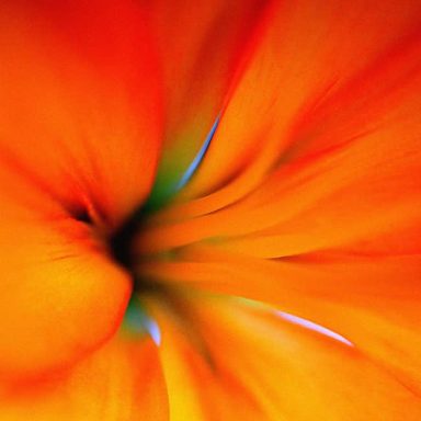 Vibrant orange flower petals swirling towards a dark centre, with hints of blue.