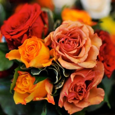 A vibrant bouquet of red, orange, and yellow roses with lush green leaves.