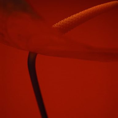 Abstract close-up of a curved shape against a red background.